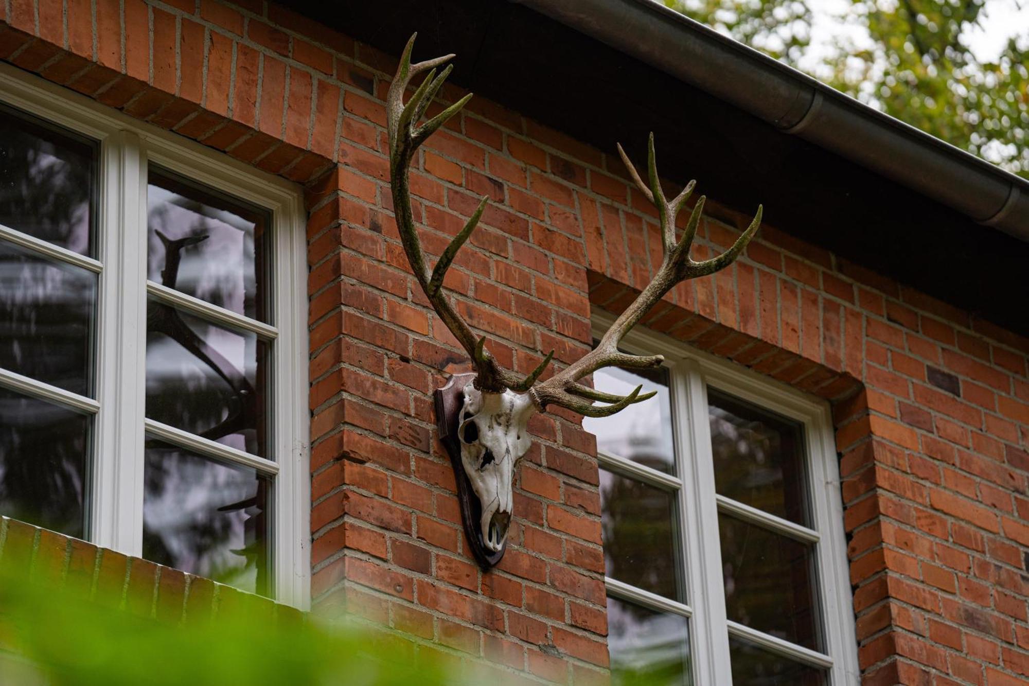 Wald- Und Seeidyll Im Historischen Forsthaus Neuruppin Extérieur photo